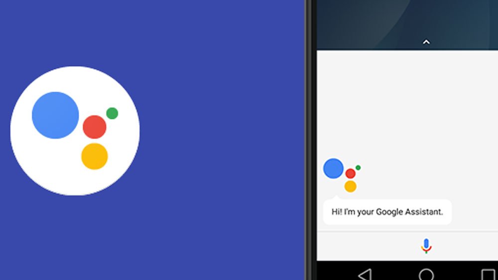 Google Against Google Assistant