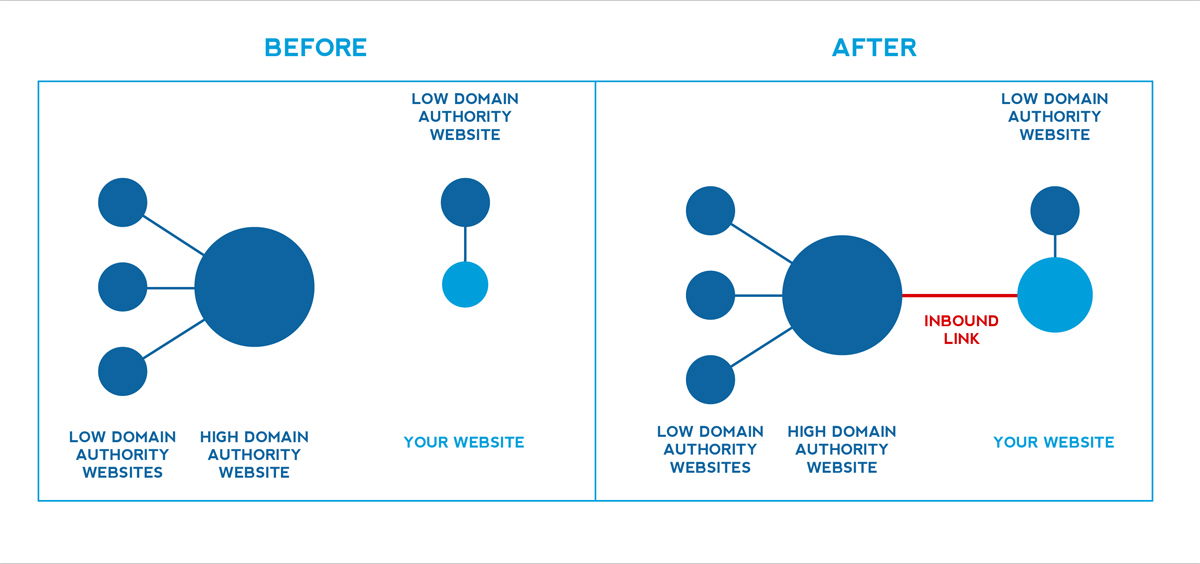 Domain Authority for SEO